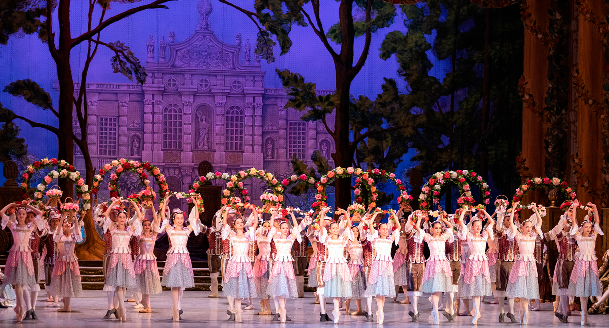 Спящая красавица